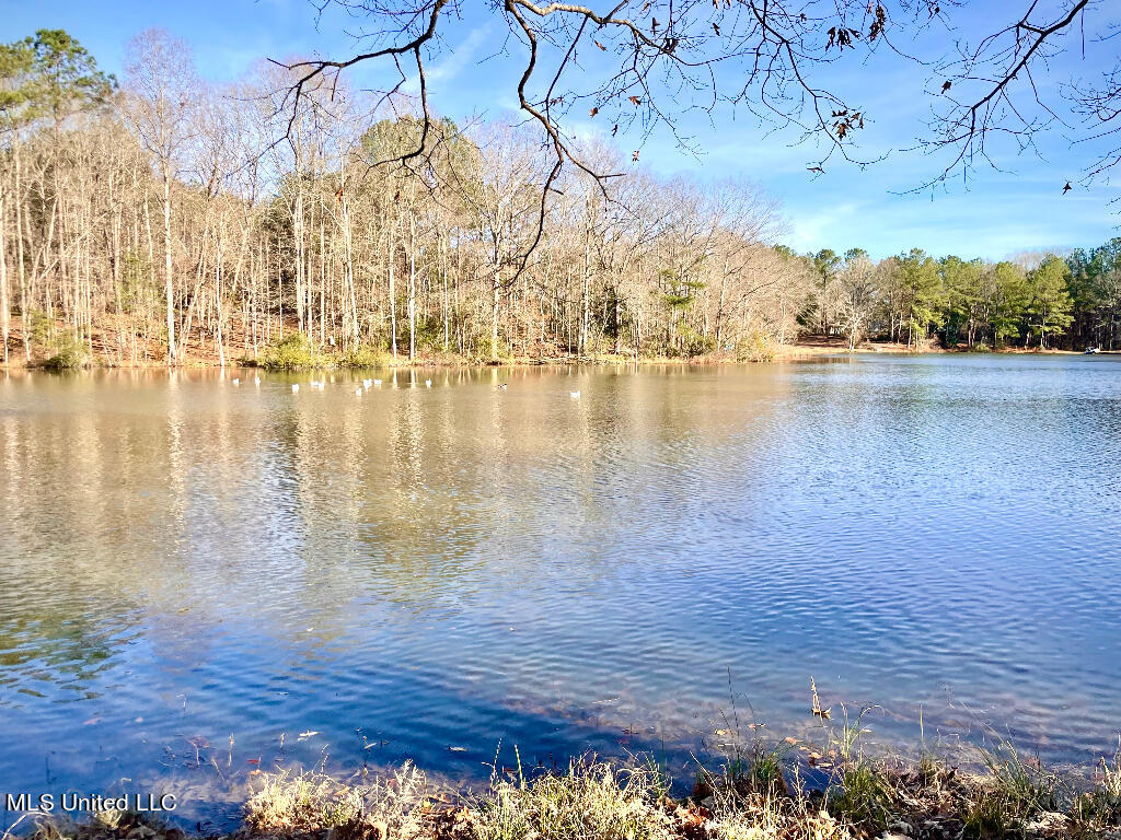 121 Jolisabi Road Mendenhall, MS 39114 - Photo 6 of 25 05
