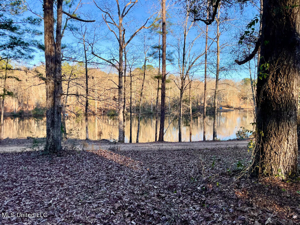 121 Jolisabi Road Mendenhall, MS 39114 - Photo 7 of 25 06