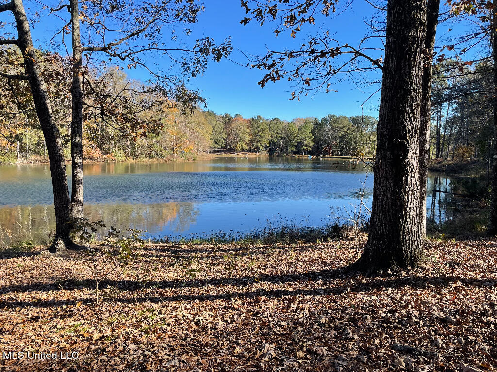 121 Jolisabi Road Mendenhall, MS 39114 - Photo 8 of 25 07