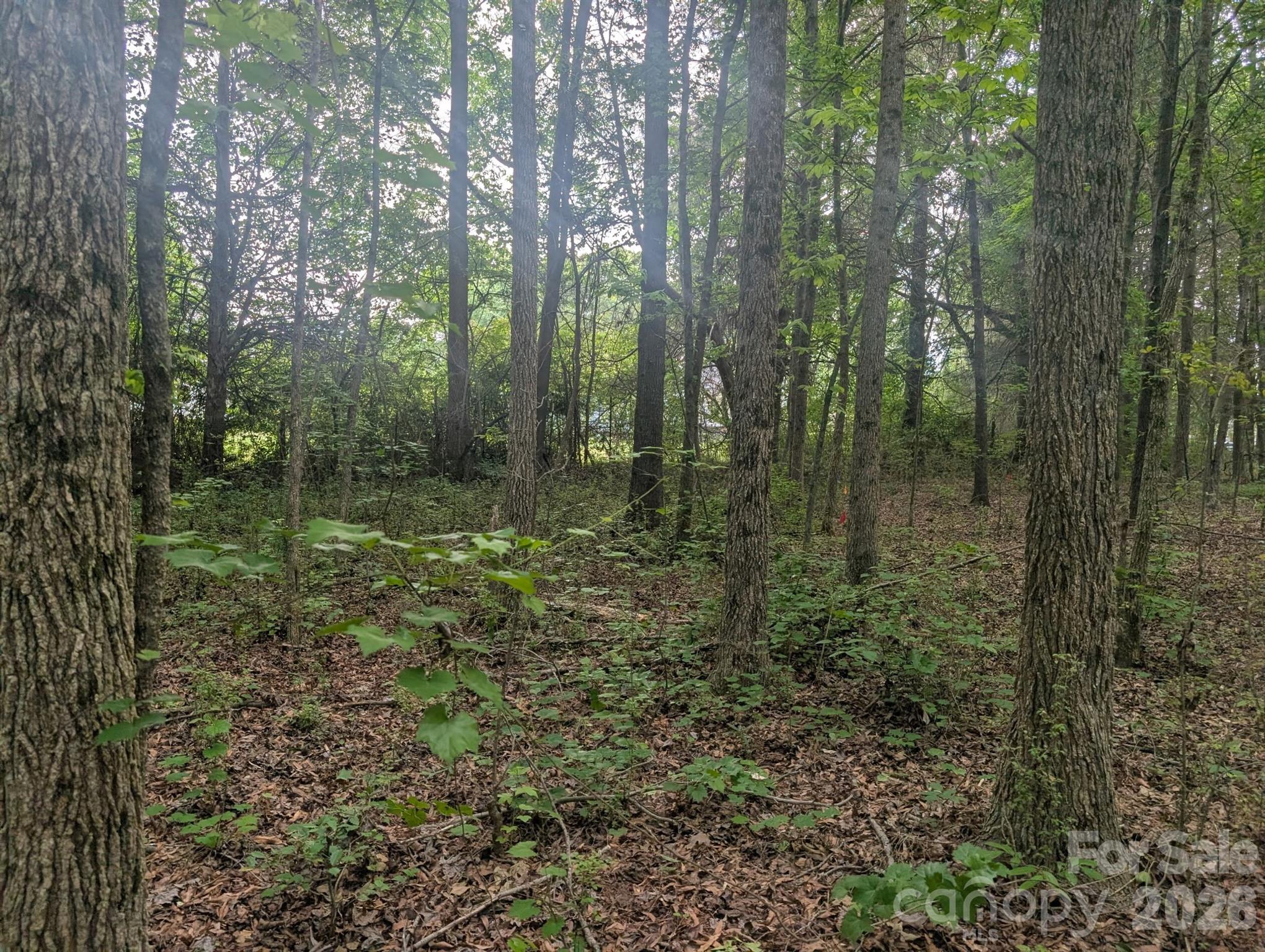 320 West Red Cross Road Oakboro, NC 28129 - Photo 6 of 7
