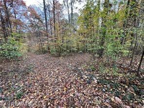 0 Aladdin Road Pfafftown, NC 27040 - Photo 4 of 17