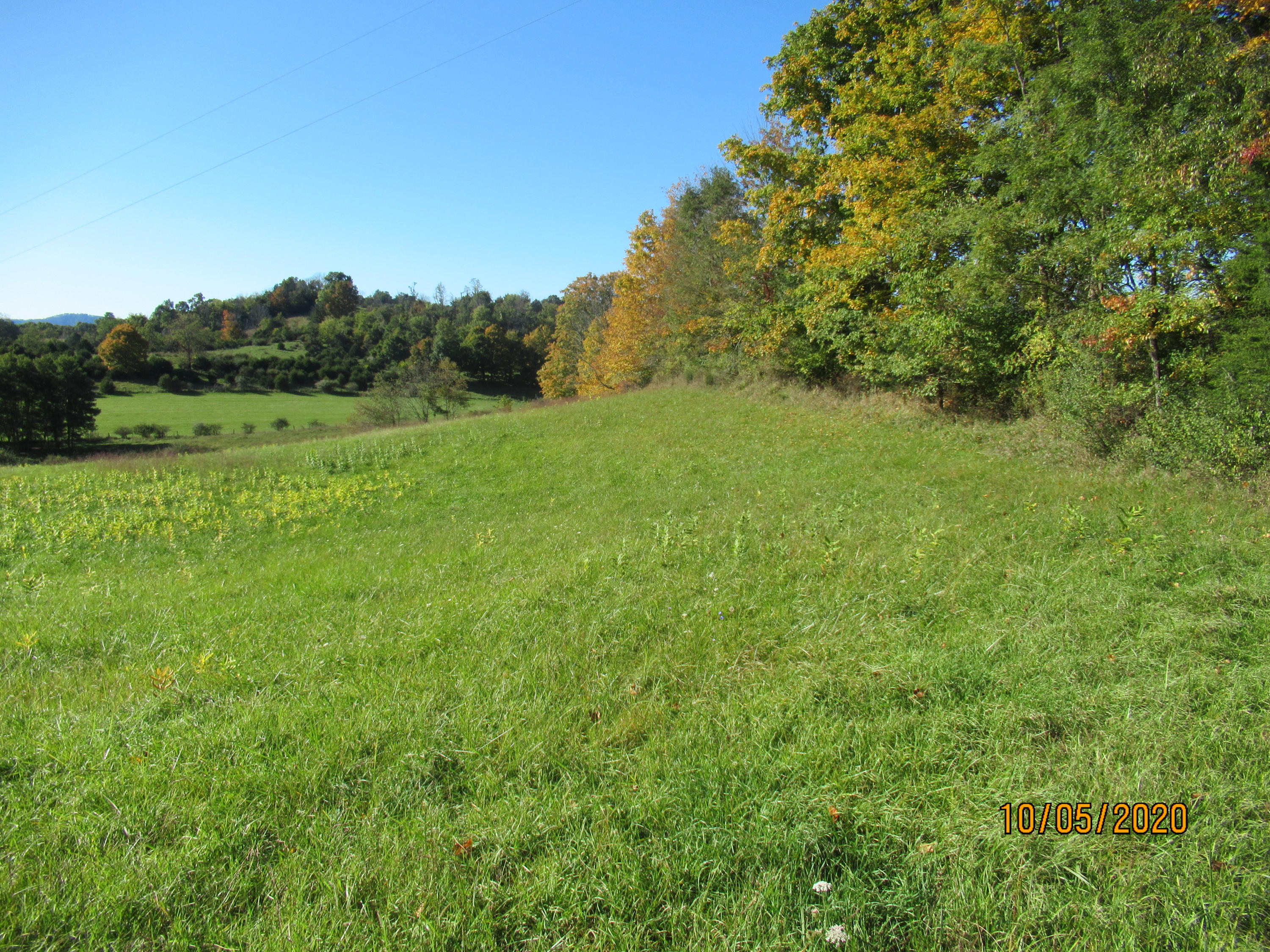 Charles Booth Road Sinks Grove, WV 24976 - Photo 6 of 18 Gallery Image 6