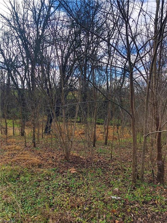 1011 George Bason Road Graham, NC 27253 - Photo 4 of 13 Gallery Image 4