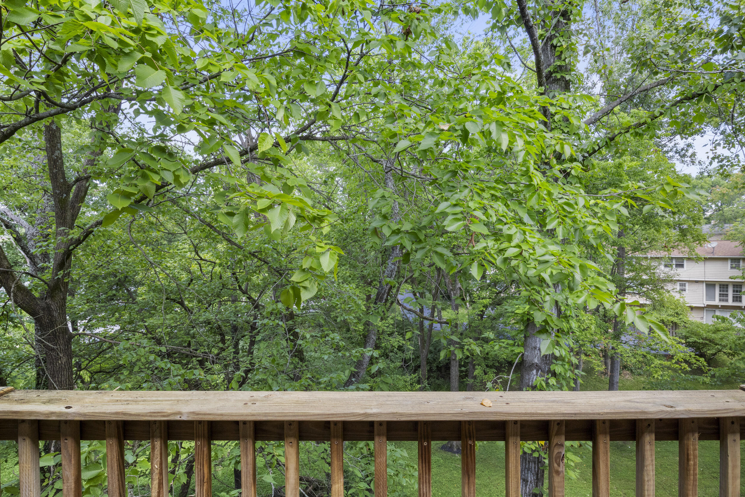 3969 Ridgepoint Lexington, KY 40517 - Photo 48 of 77 48_img_4294