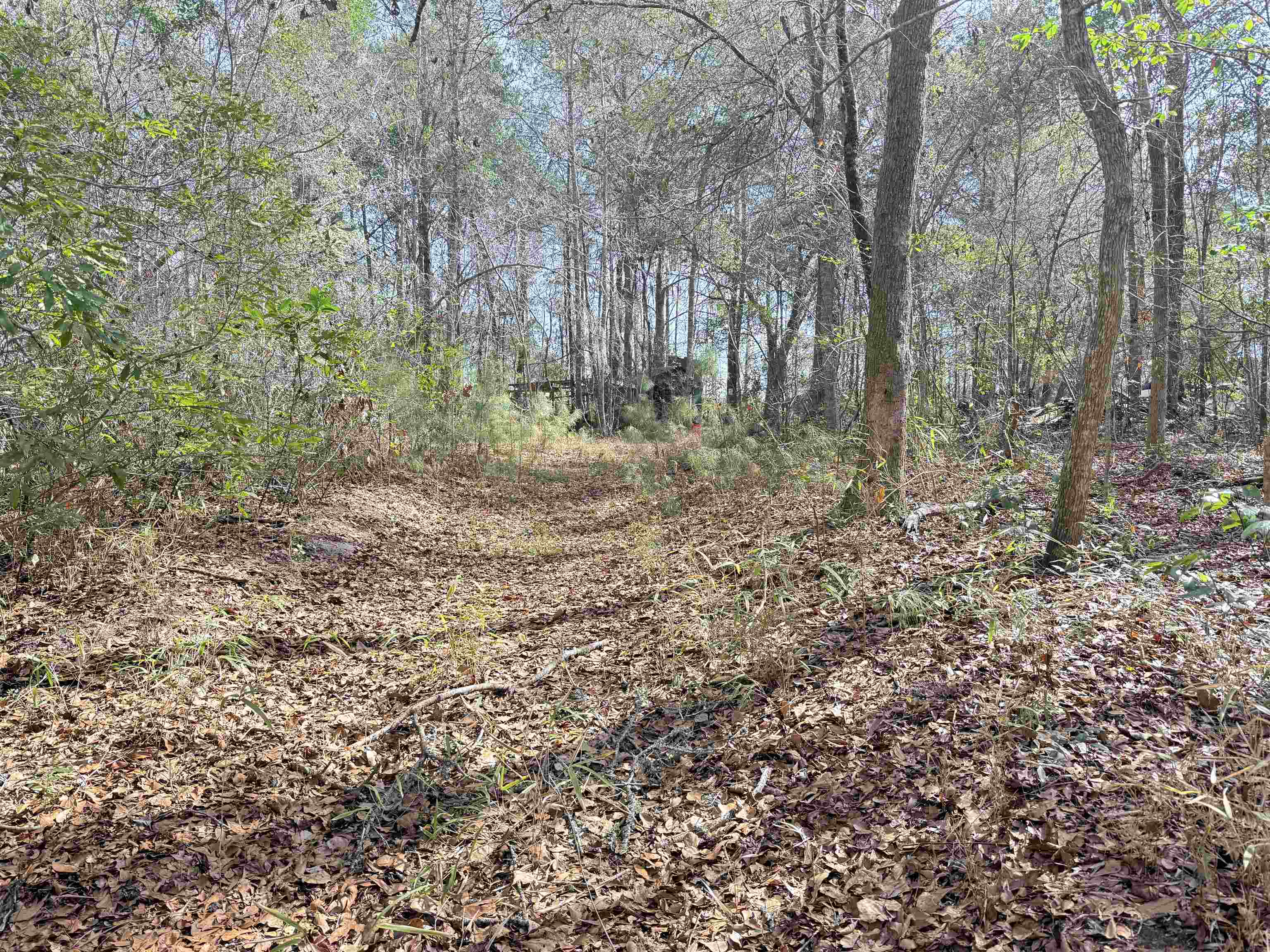 9 Longs Sc 29568 Longs, SC 29568 - Photo 16 of 17