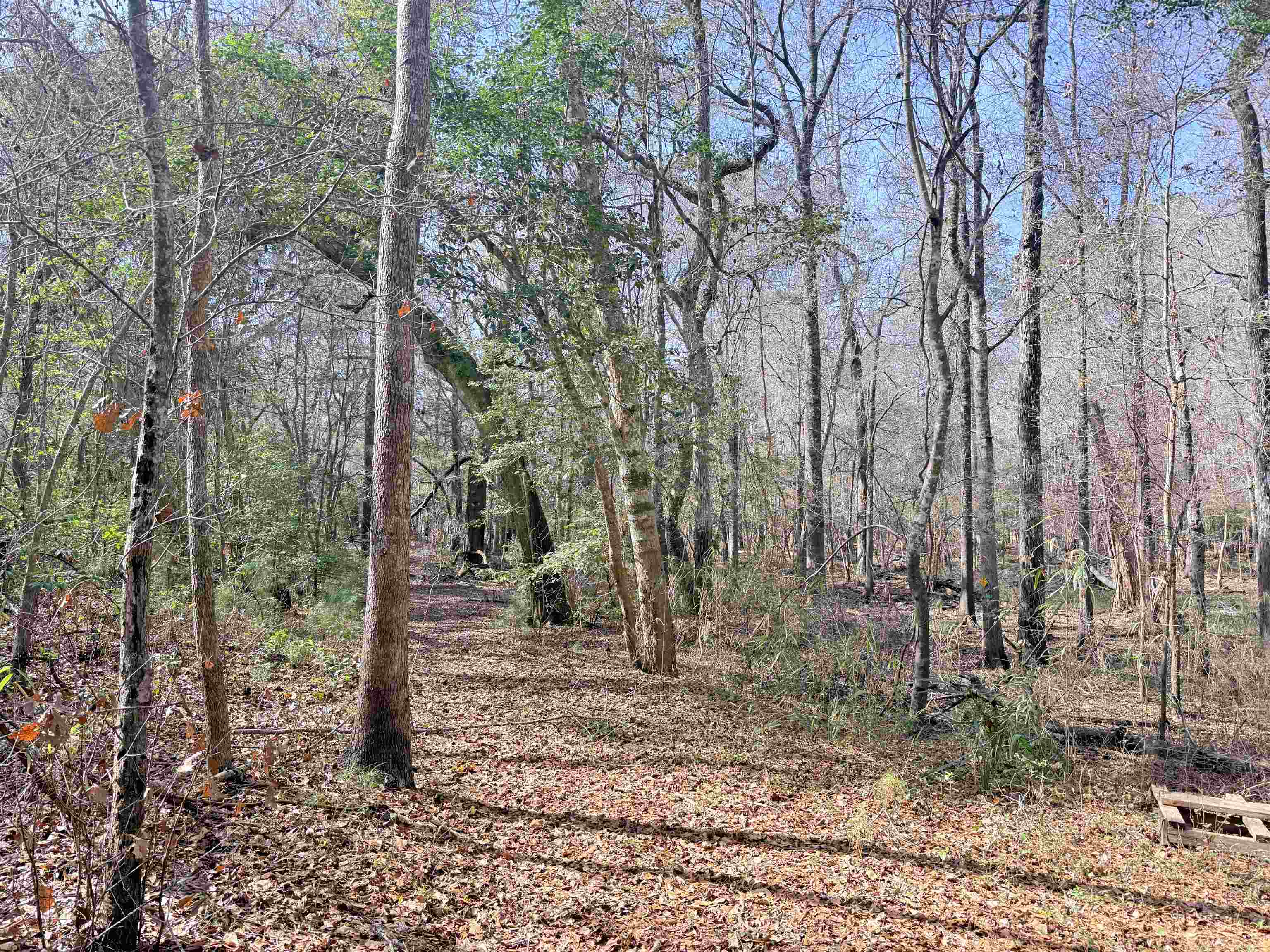 9 Longs Sc 29568 Longs, SC 29568 - Photo 17 of 17