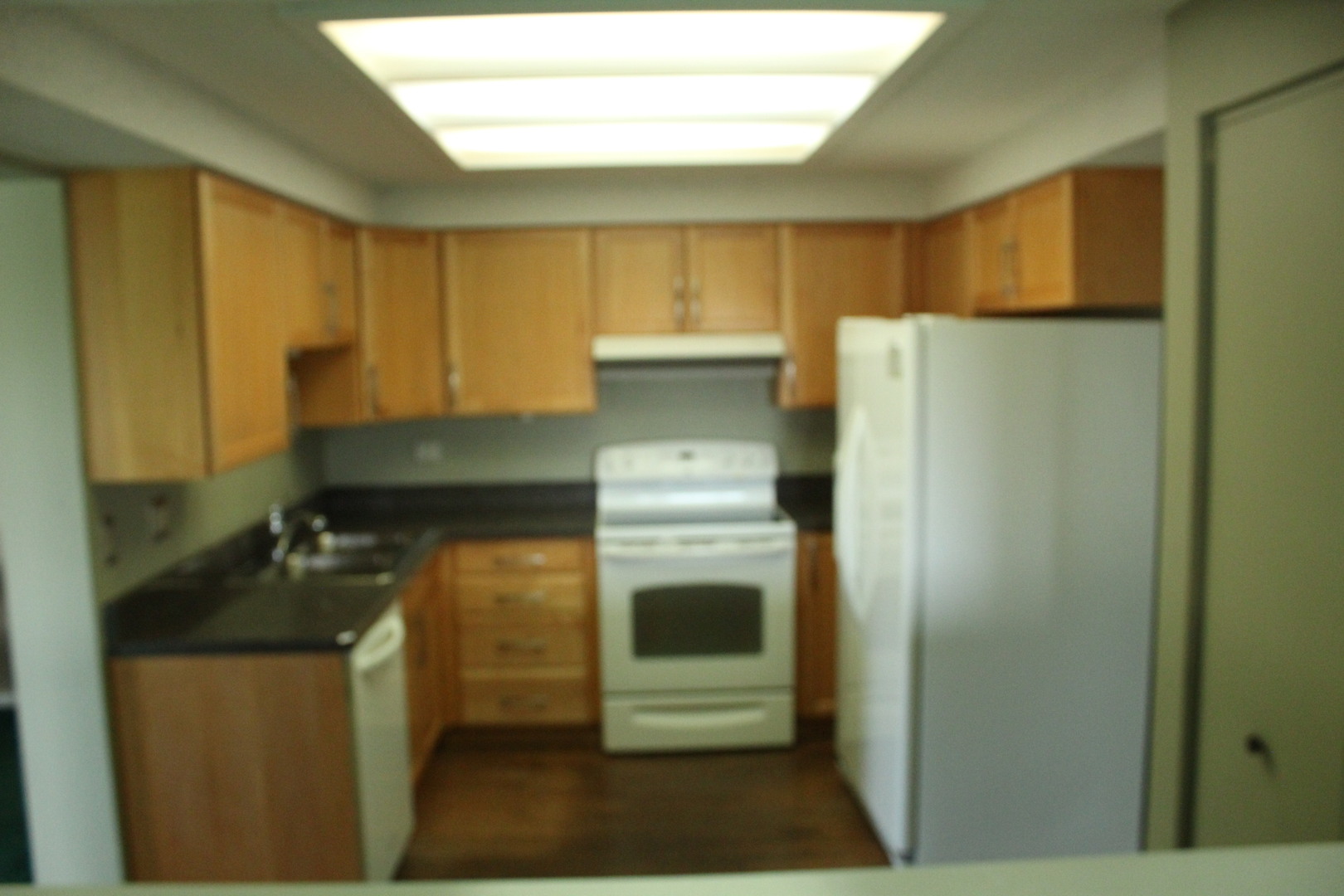 920 Vose Drive, Unit 402 Gurnee, IL 60031 - Photo 16 of 42 a kitchen with a refrigerator sink and cabinets