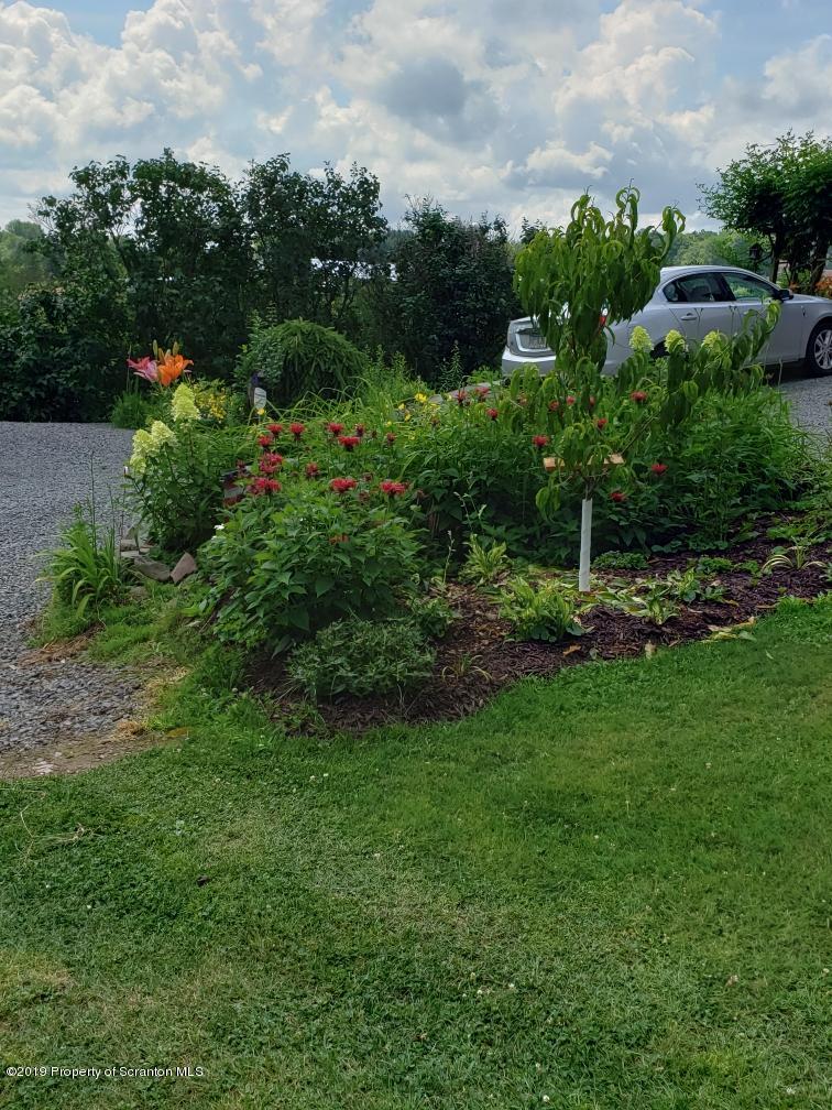 20 Sunny Lane Road Beach Lake, PA 18405 - Photo 6 of 61 Gallery Image 6