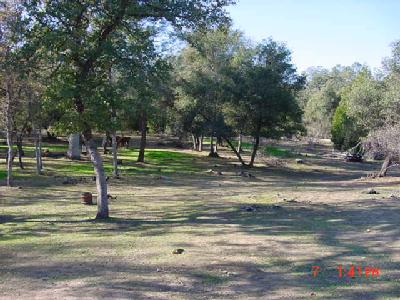 31189 Wyle Ranch Road North Fork, CA 93643 - Photo 4 of 8 Park like grounds on the lower acreage. All fenced.This is a developed picnic area with a false mine shaft and huge firepit. Add a few bales of hay to the rocks and have a party!