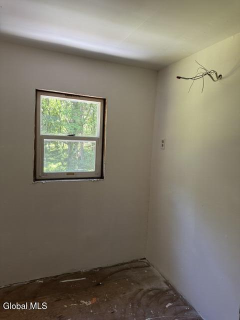 294 Thais Road Sand Lake, NY 12018 - Photo 22 of 28 IMG_2904