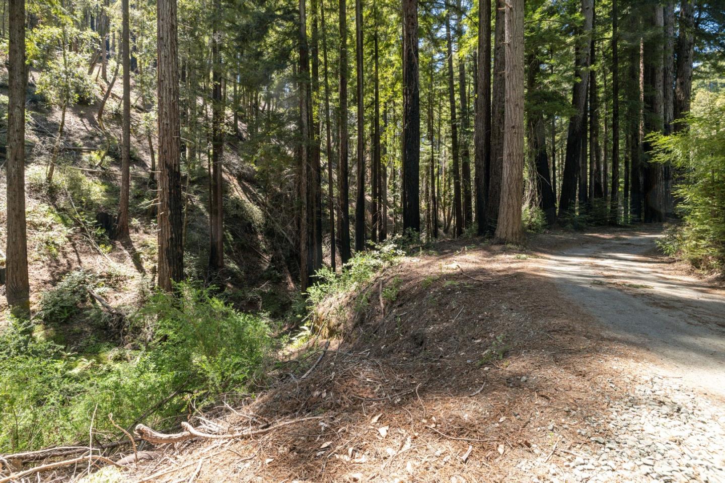 Lot 17 Branson Ranch Boulder Creek, CA 95006 - Photo 6 of 45 a view of a house with a yard