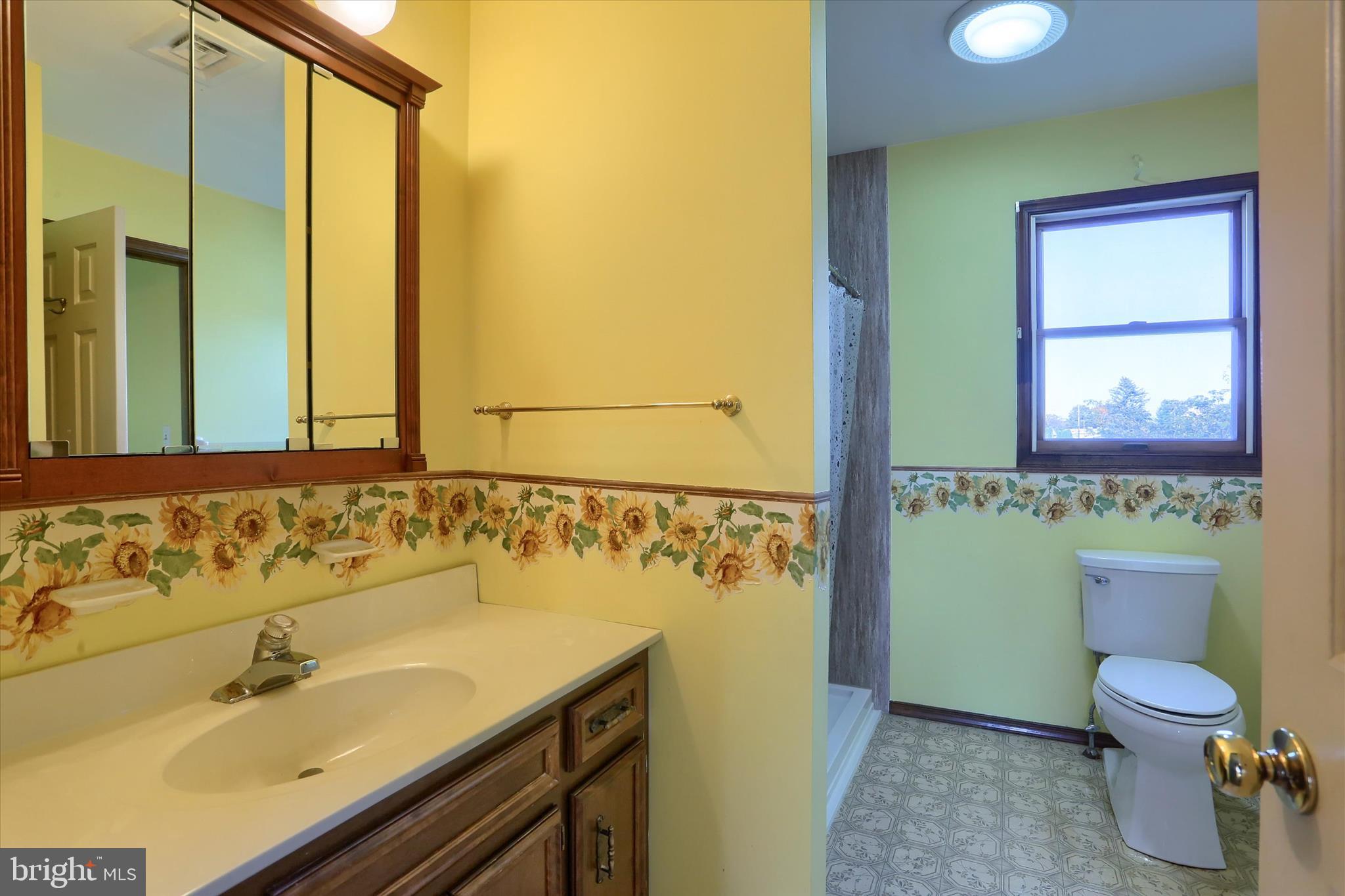 15 Patton Road Mechanicsburg, PA 17055 - Photo 20 of 36 a bathroom with a sink a toilet and mirror