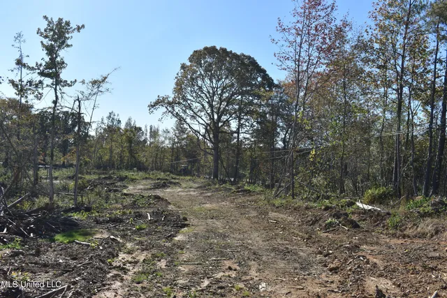 $85,000 | 1 Marianna Road, Holly Springs, MS 38635