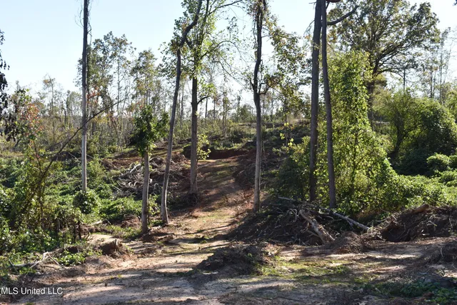 $85,000 | 1 Marianna Road, Holly Springs, MS 38635