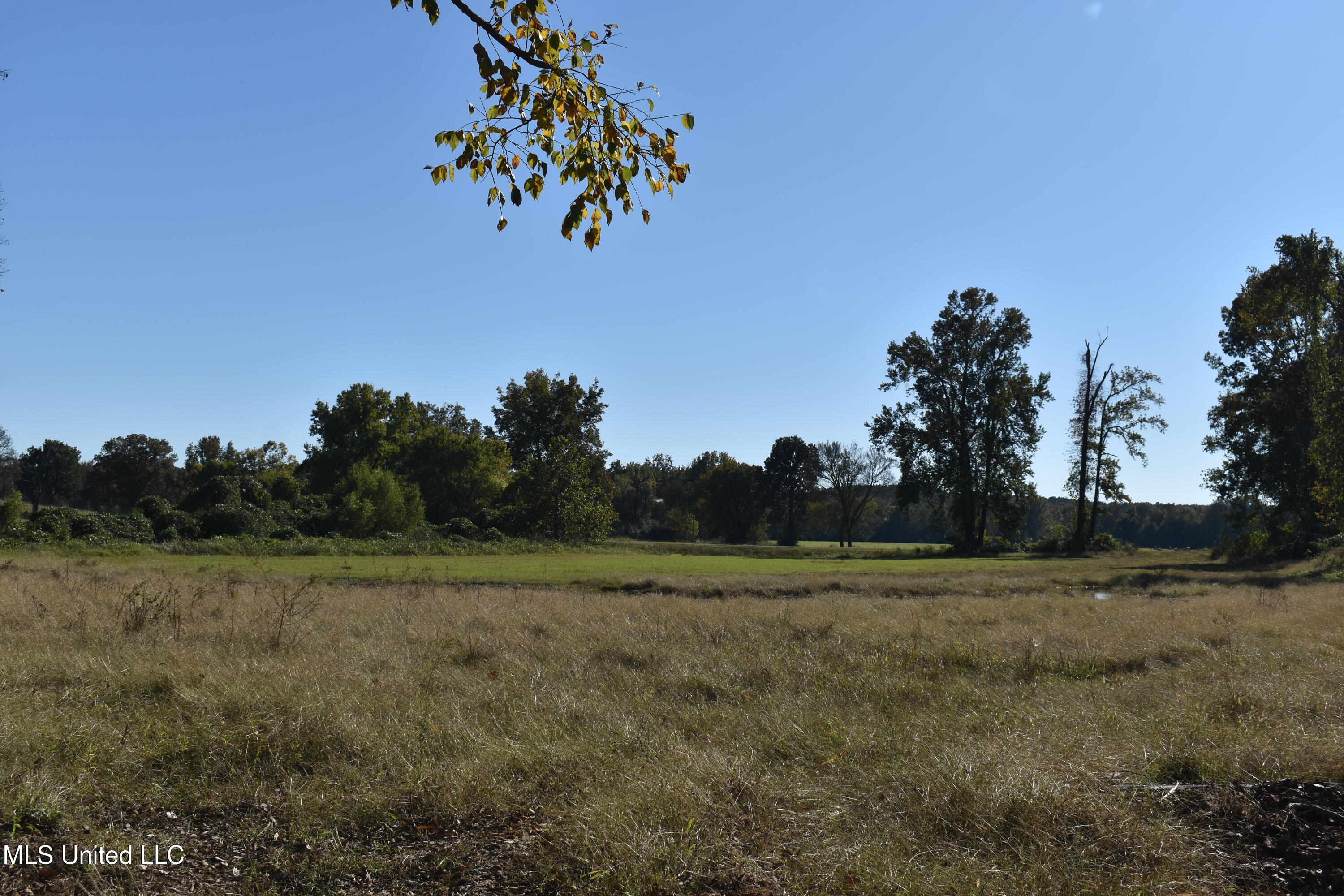 1 Marianna Road Holly Springs, MS 38635 - Photo 20 of 25 DSC_0617