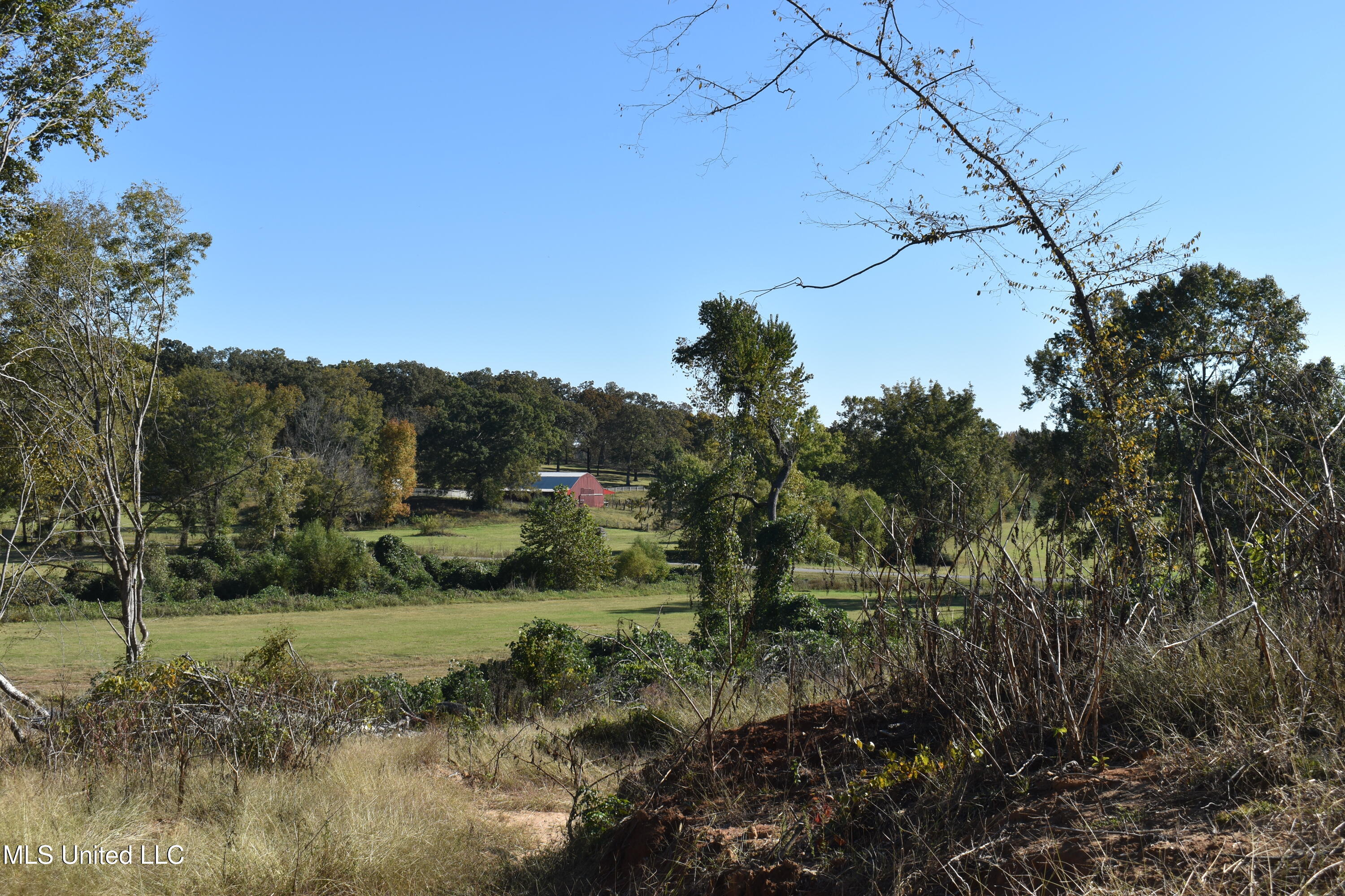 1 Marianna Road Holly Springs, MS 38635 - Photo 21 of 25 DSC_0621