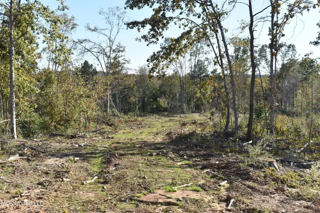 $85,000 | 1 Marianna Road, Holly Springs, MS 38635