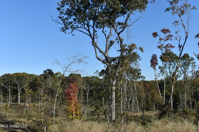 $85,000 | 1 Marianna Road, Holly Springs, MS 38635