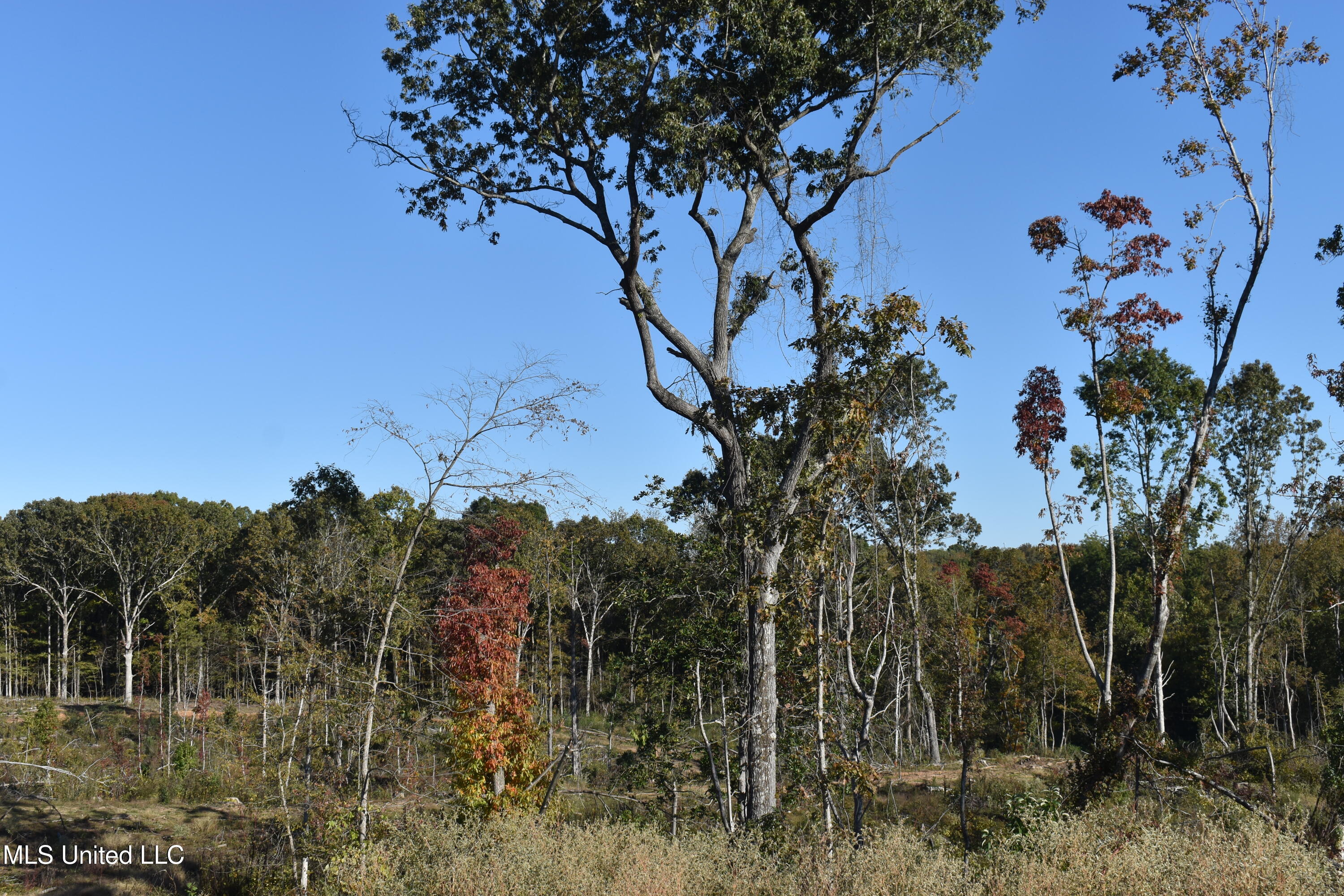 1 Marianna Road Holly Springs, MS 38635 - Photo 25 of 25 DSC_0640