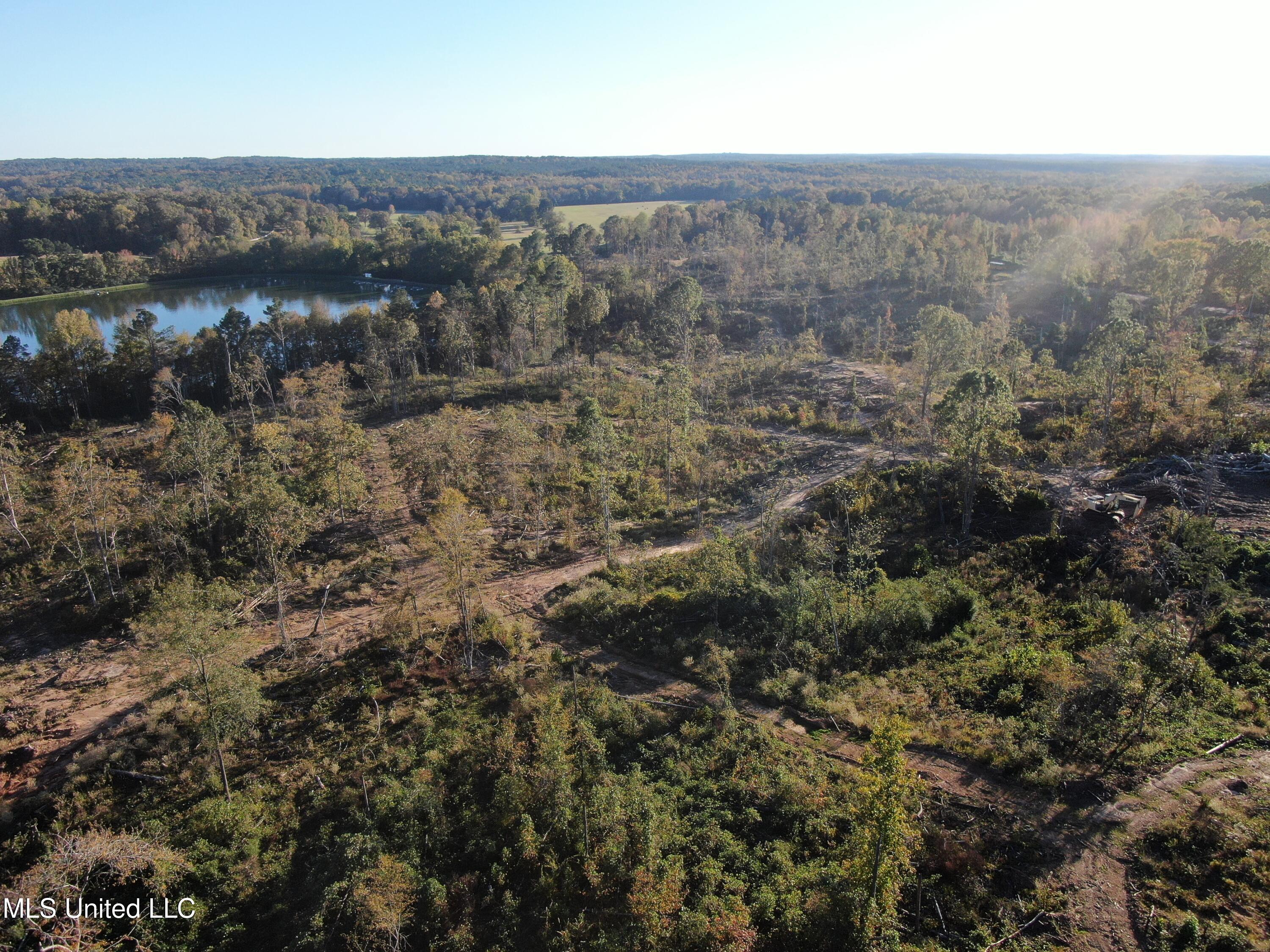 1 Marianna Road Holly Springs, MS 38635 - Photo 9 of 25 DJI_0772