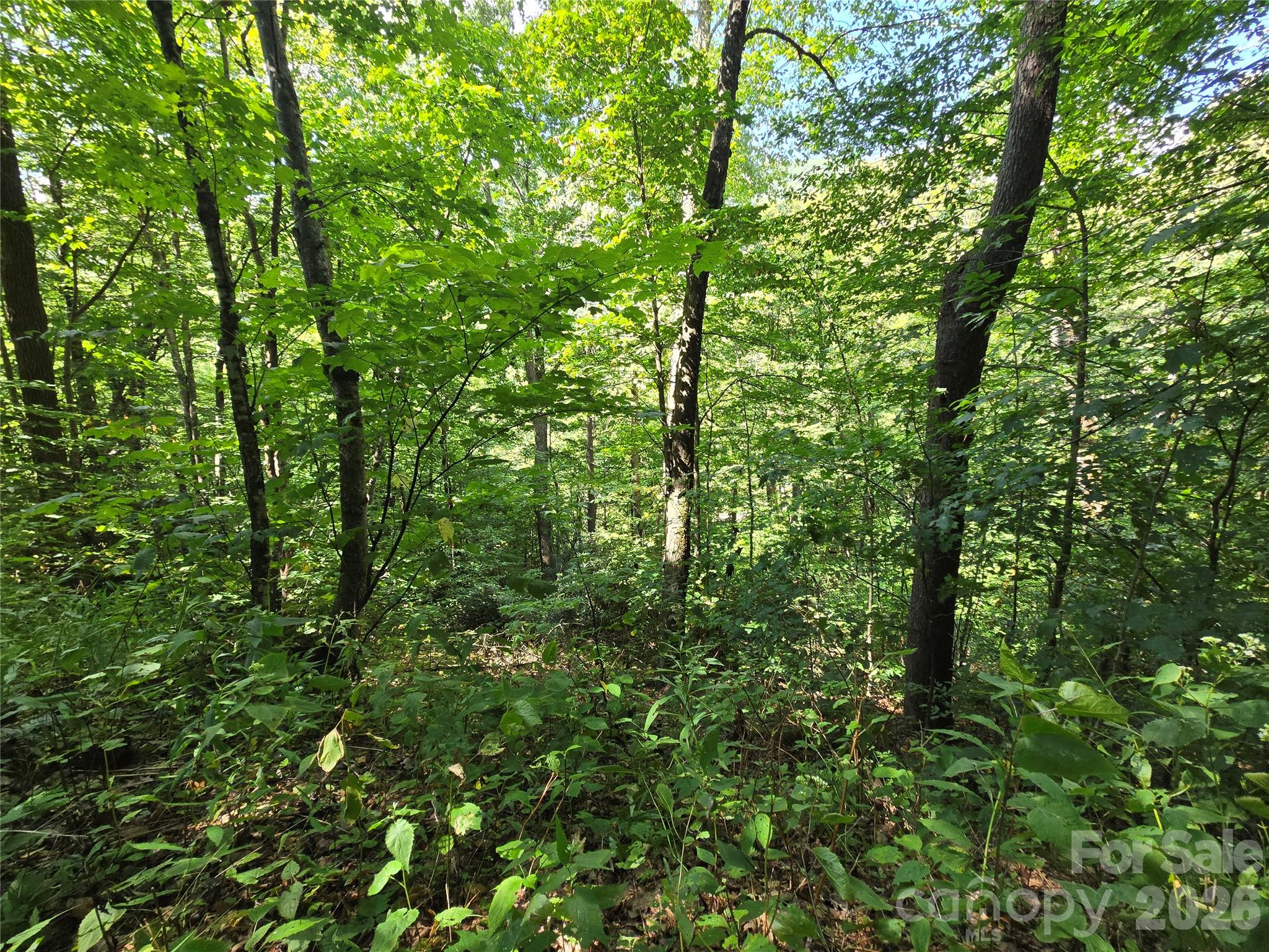 24 Tater Patch Road Maggie Valley, NC 28751 - Photo 20 of 29 Gallery Image 20