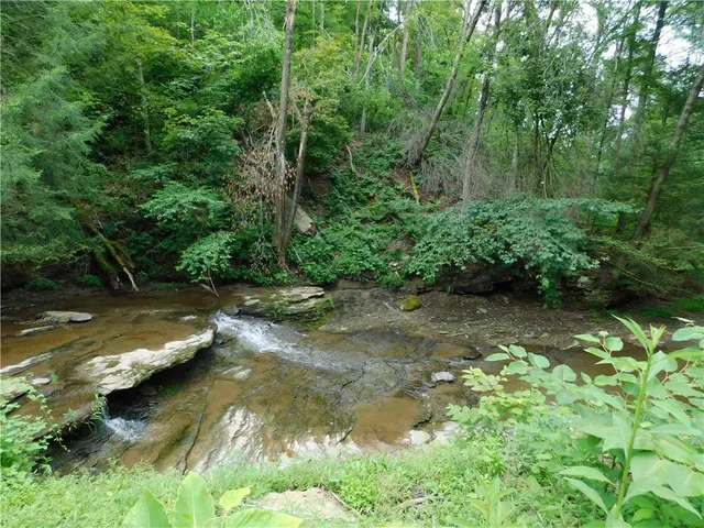 a view of lake background with trees