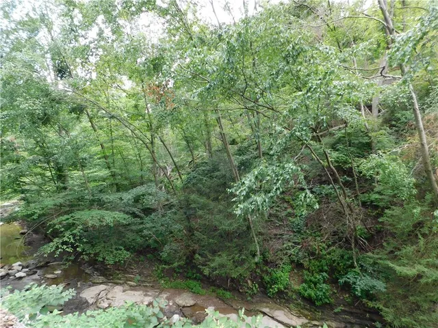 a view of a forest with lush green forest