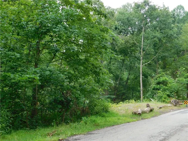 a view of a field with a tree