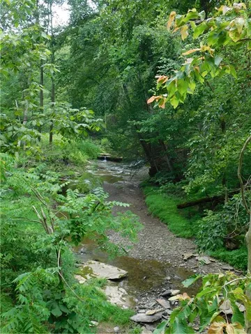 a backyard of a house with lots of trees