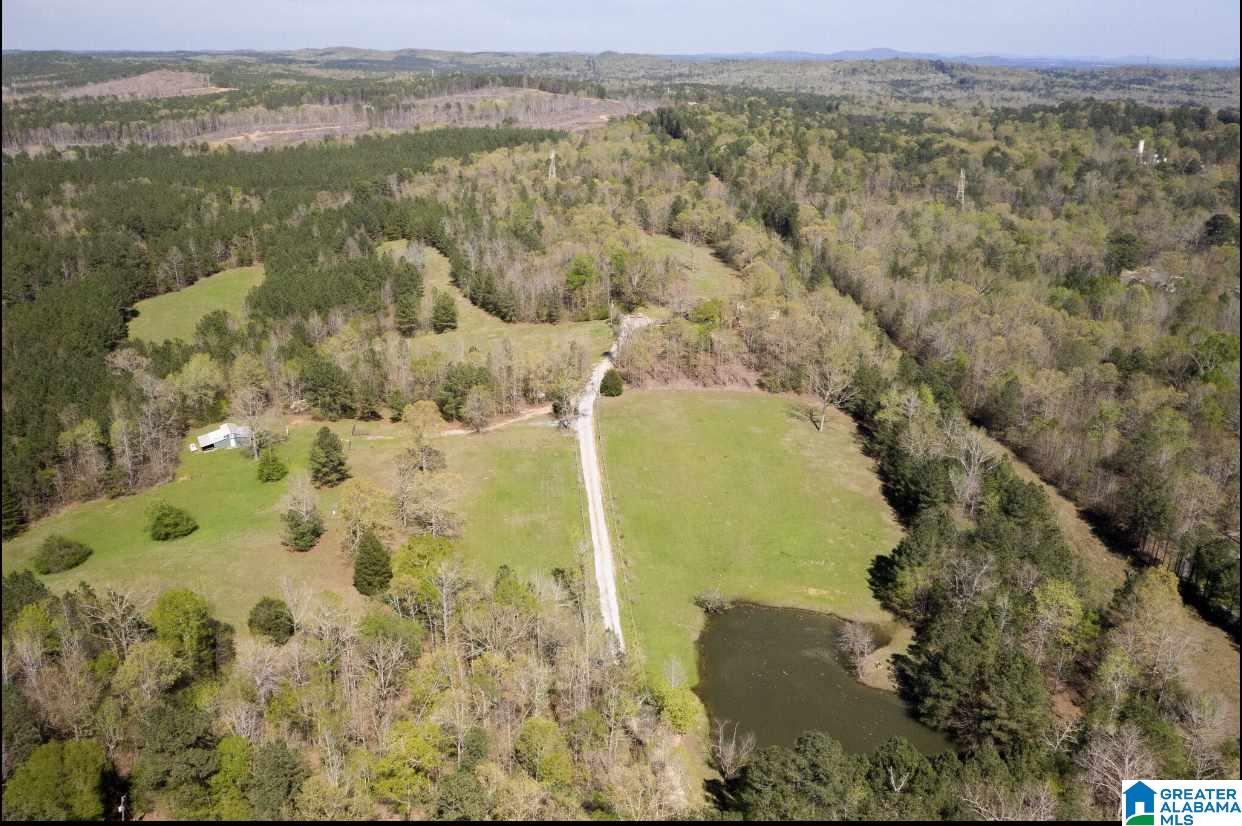 484 Cedar Hill Farm Road Sterrett, AL 35147 - Photo 3 of 50