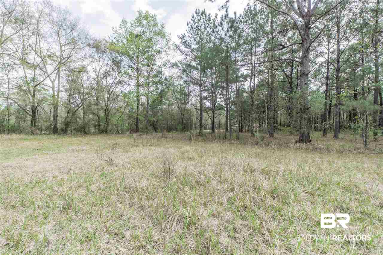 1000 Grimsley Road Creola, AL 36525 - Photo 14 of 15