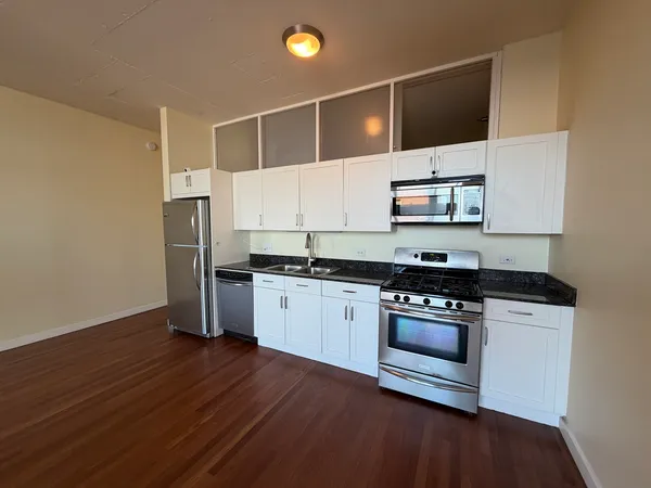 $2,500 | 1720 South Michigan Avenue, Unit 1202, Chicago, IL 60616