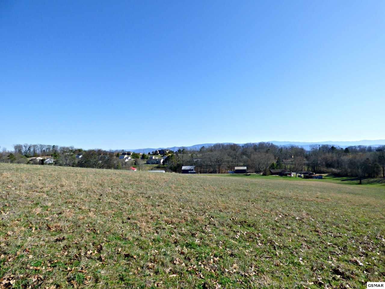 6 Valley Home Road Dandridge, TN 37725 - Photo 3 of 22 Gallery Image 3