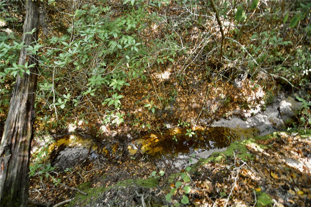 0 Old Federal Road Quincy, FL 32351 - Photo 57 of 81 Gallery Image 57