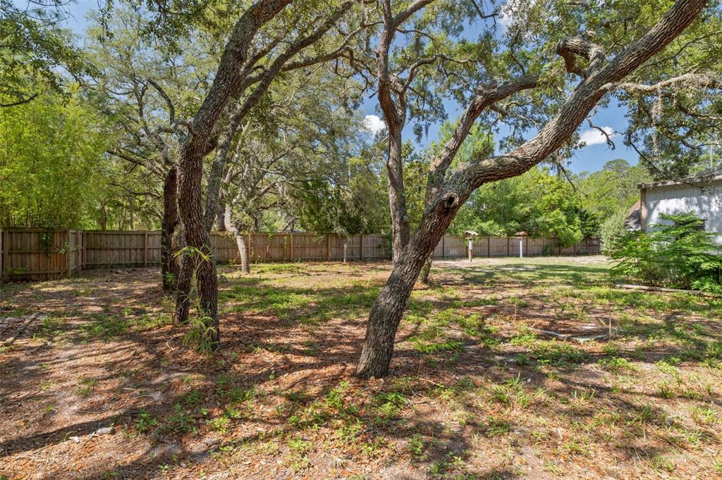 3394 Memory Lane Spring Hill, FL 34606 - Photo 45 of 45
