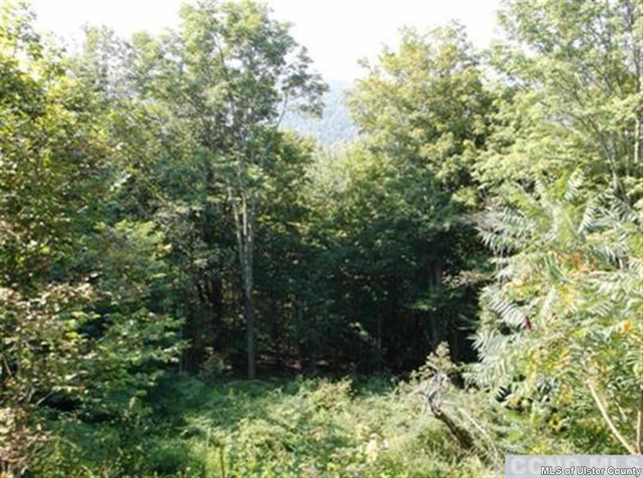 48 County Rt 13 Hunter, NY 12442 - Photo 10 of 13 Photo 10