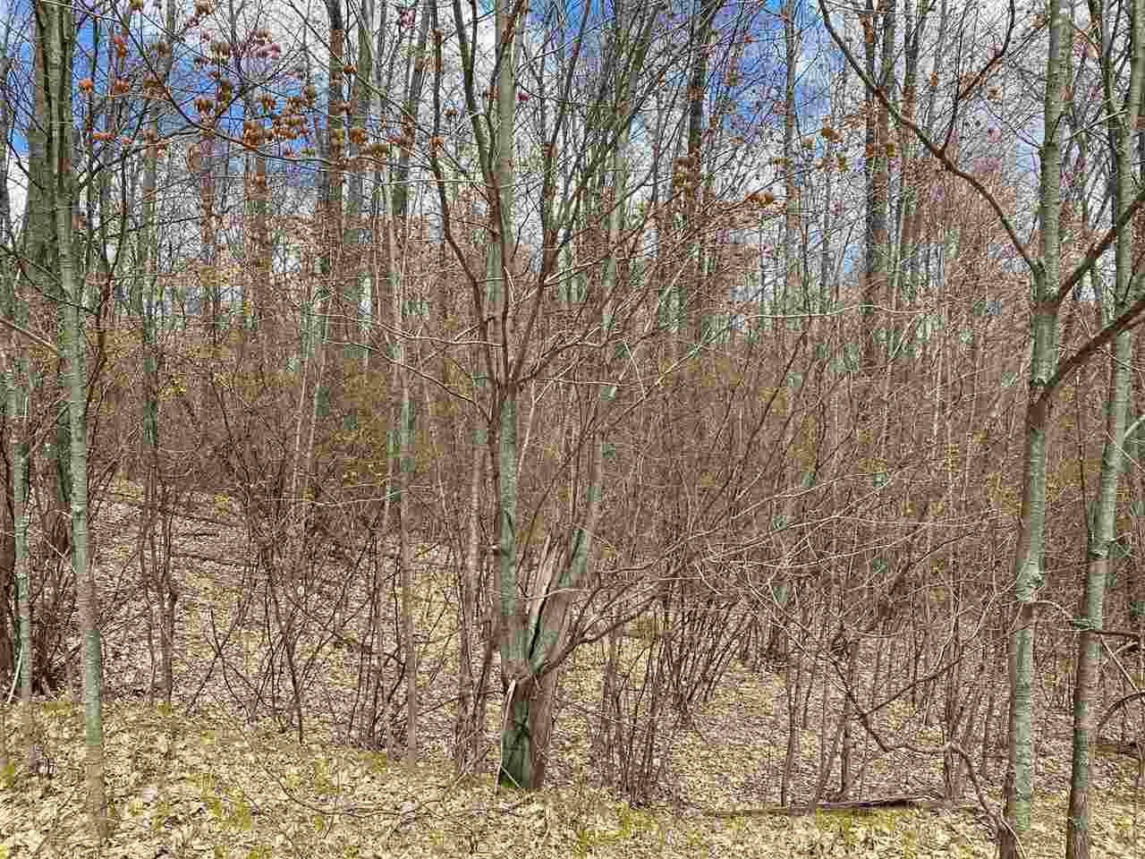 435 East Townline Lake Road Harrison, MI 48625 - Photo 4 of 24