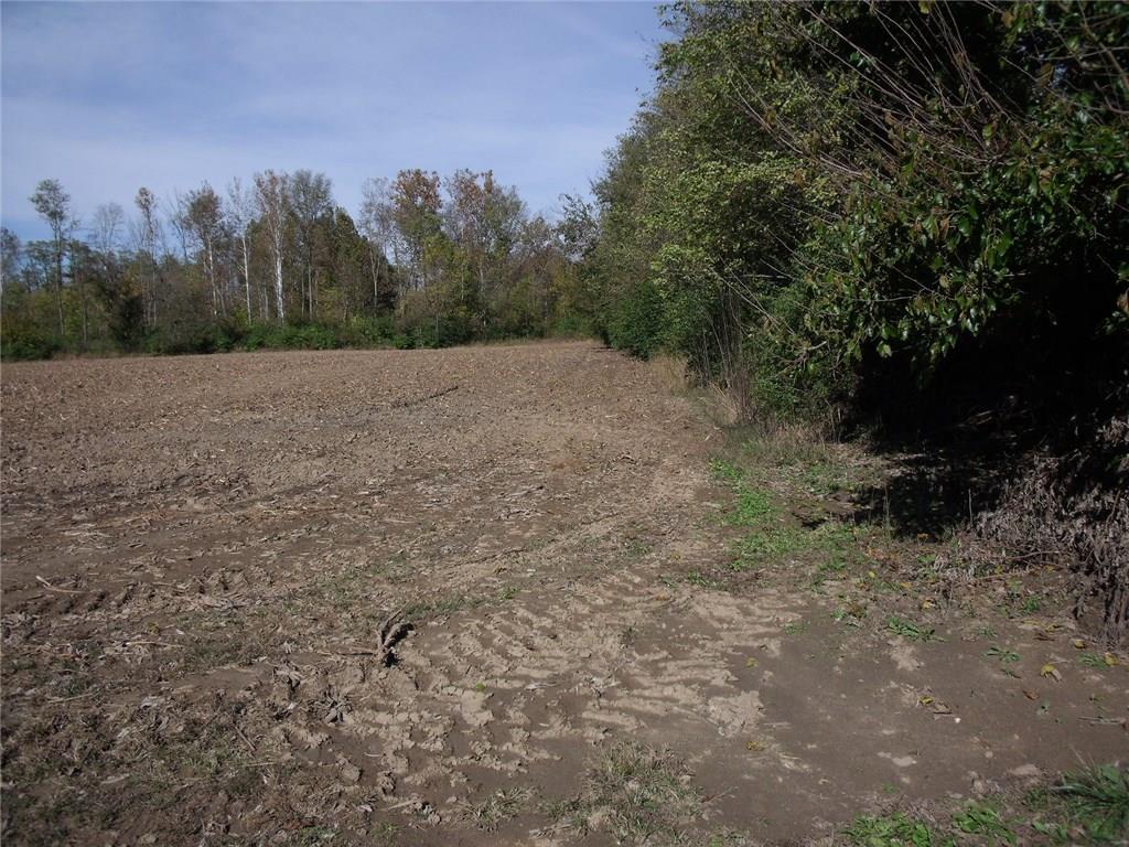 2969 Vestal Road Plainfield, IN 46168 - Photo 10 of 19 Gallery Image 10
