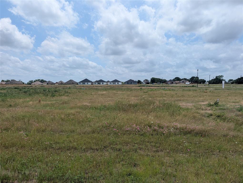 1050 Autumn Trail Mabank, TX 75147 - Photo 2 of 3