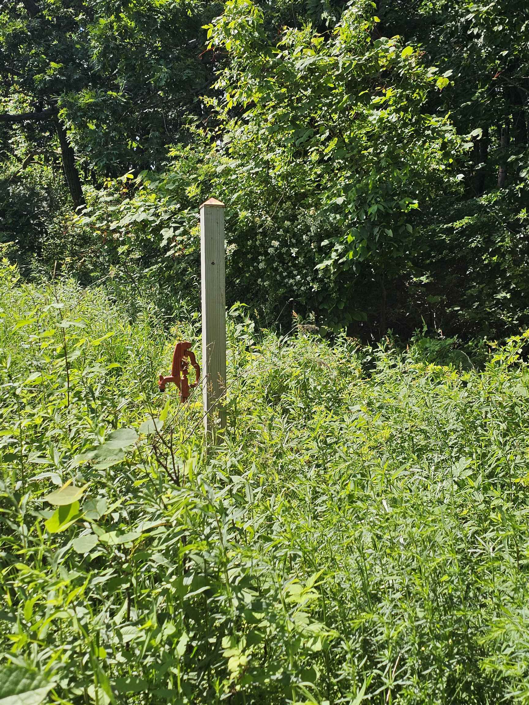 13061 Walnut Blf Road Bagley, WI 53801 - Photo 10 of 18