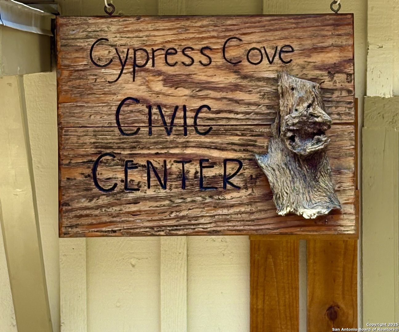 774 Mockingbird Cove Spring Branch, TX 78070 - Photo 32 of 38