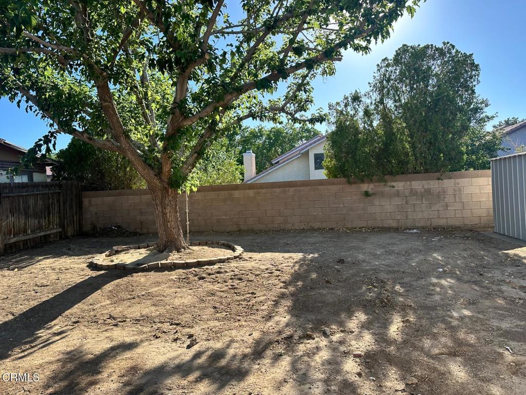 44839 16th Street East Lancaster, CA 93535 - Photo 50 of 53 a backyard of a house with lots of green space
