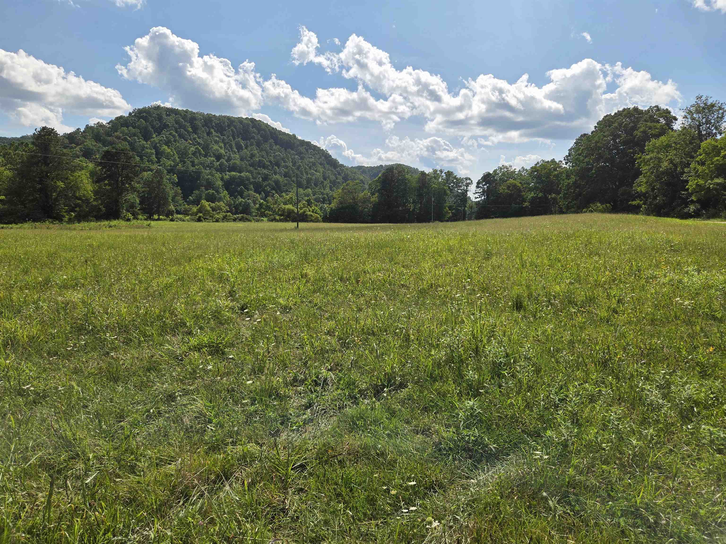 0 Tar Fork Road Vanceburg, KY 41179 - Photo 1 of 33 Gallery Image 1