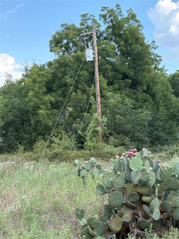 271 Wyatt Road Jacksboro, TX 76458 - Photo 39 of 40 Gallery Image 39