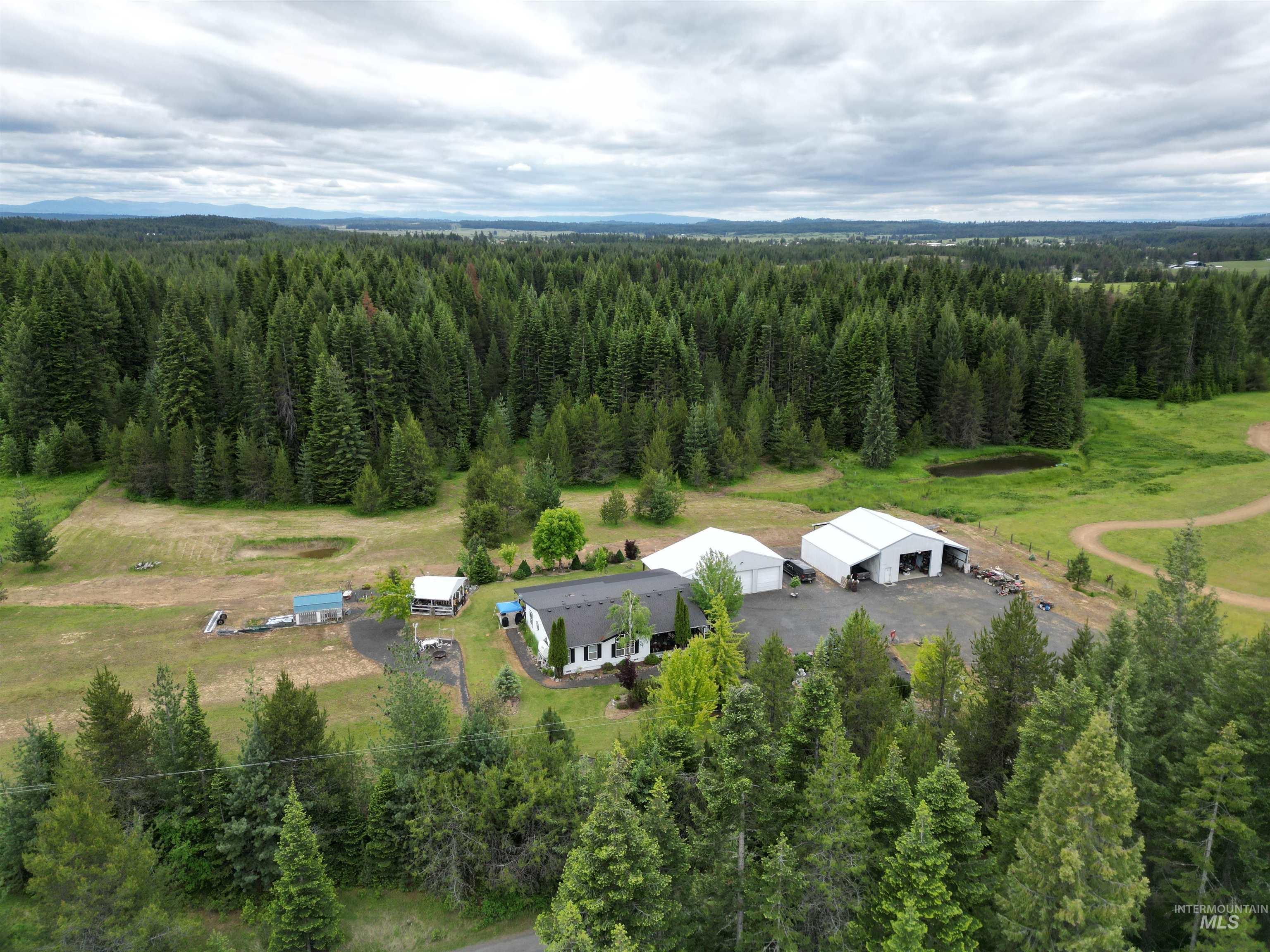 254 Lackey Road Weippe, ID 83553 - Photo 3 of 38 Expansive property featuring a white residence with a dark roof, two large outbuildings with white siding, and a surrounding evergreen forest