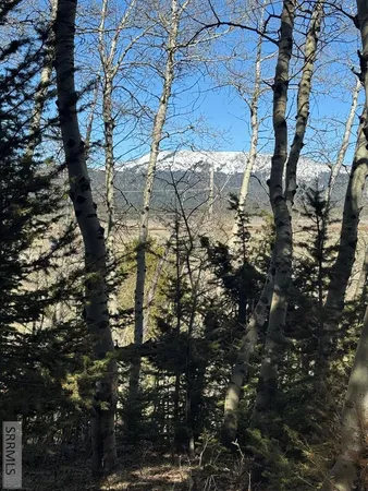 $236,000 | 4788 Balsam St Island Park, Island Park, ID 83429