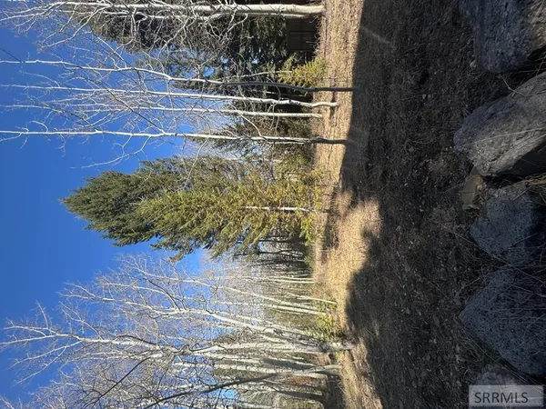 $236,000 | 4788 Balsam St Island Park, Island Park, ID 83429