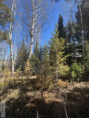 $236,000 | 4788 Balsam St Island Park, Island Park, ID 83429