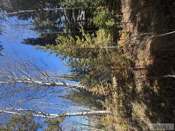$236,000 | 4788 Balsam St Island Park, Island Park, ID 83429