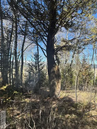 $236,000 | 4788 Balsam St Island Park, Island Park, ID 83429